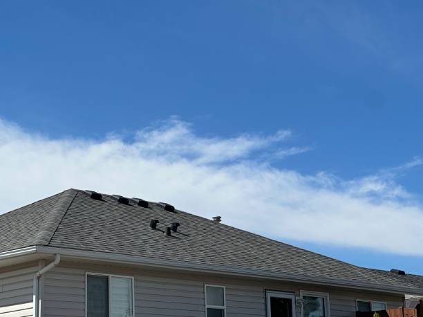 Best Storm Damage Roof Repair  in Painesville, OH